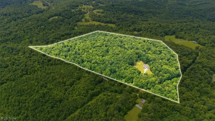 595 California House Road, Petroleum, WV 26161 - #2