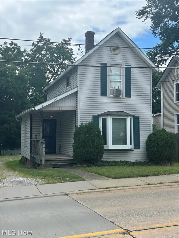 239 S Huntington, Medina, OH 44256