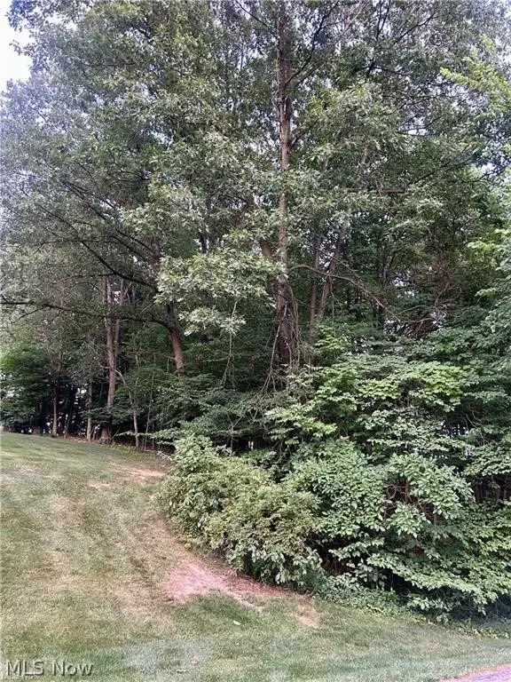 91 Oneida Trail, Malvern, OH 44644 - #1