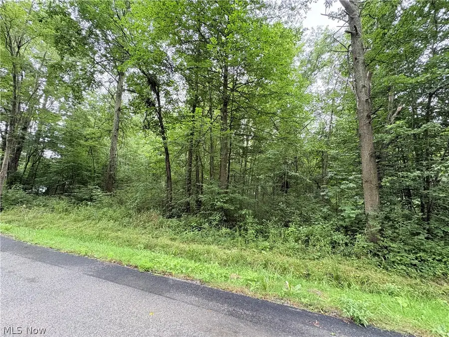 Bon Air Ne Avenue, Alliance, OH 44601 - #3