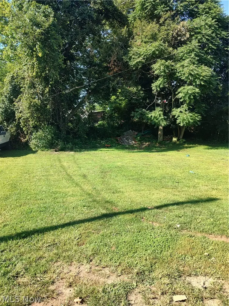 160 Neighbor Street, Newcomerstown, OH 43832 - #2