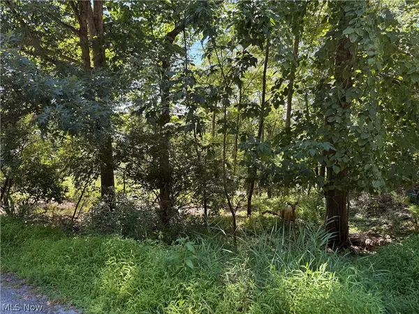 Lot 1623 Comanche Trail, Malvern, OH 44644