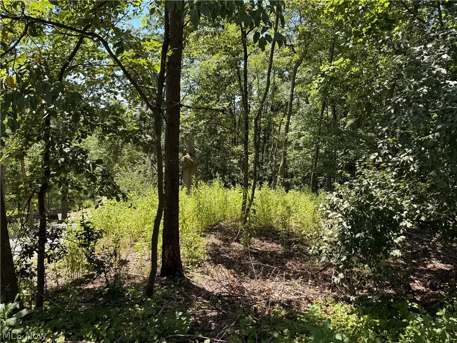 Lot 1623 Comanche Trail, Malvern, OH 44644 - #2