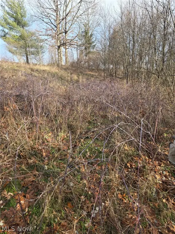 9284 Briar Road, Magnolia, OH 44643