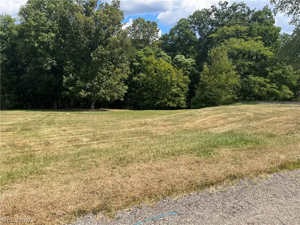 0 Linmar Avenue, Wintersville, OH 43953 - #1