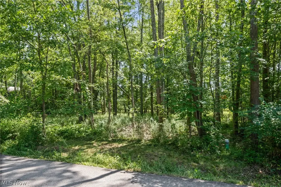 Cranage Road, Olmsted Falls, OH 44138 - #3