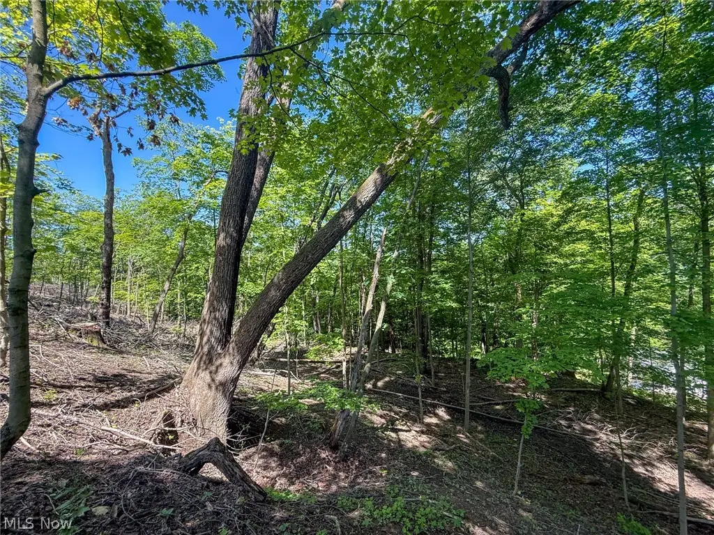 Lot 1 Altamont Rd, Mingo Junction, OH 43938 - #1