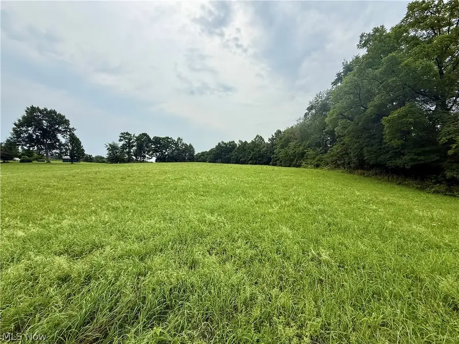 Cinder Road, Bergholz, OH 43908 - #2