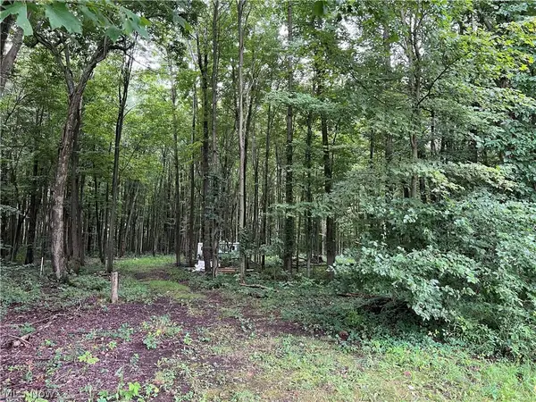 6124 Root Road, Conneaut, OH 44030