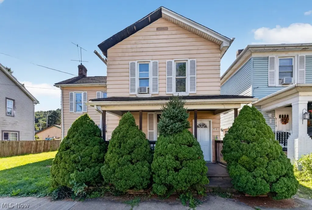713 N 4th Street, Toronto, OH 43964 - #1