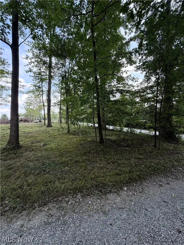 9299 Gilbert Road, Ravenna, OH 44266 - #3
