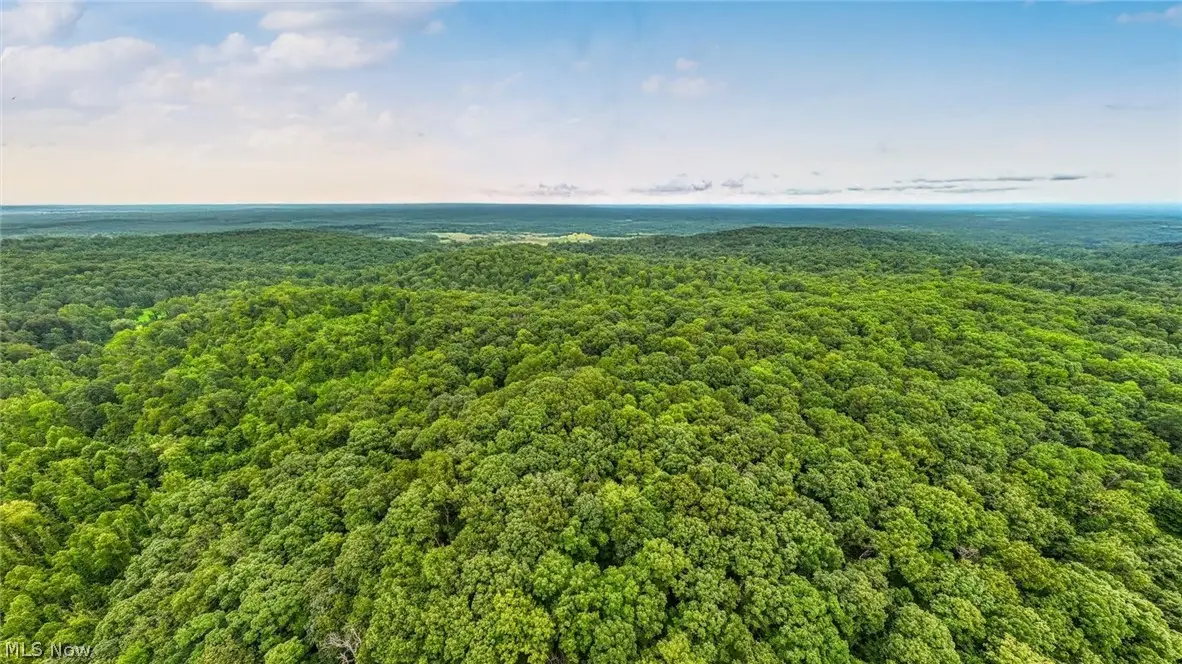 0 Bald Knob Stiversville Road, Portland, OH 45770 - #1