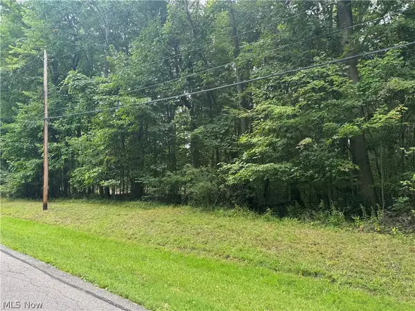 1995 Flame Lake Drive, Roaming Shores, OH 44084