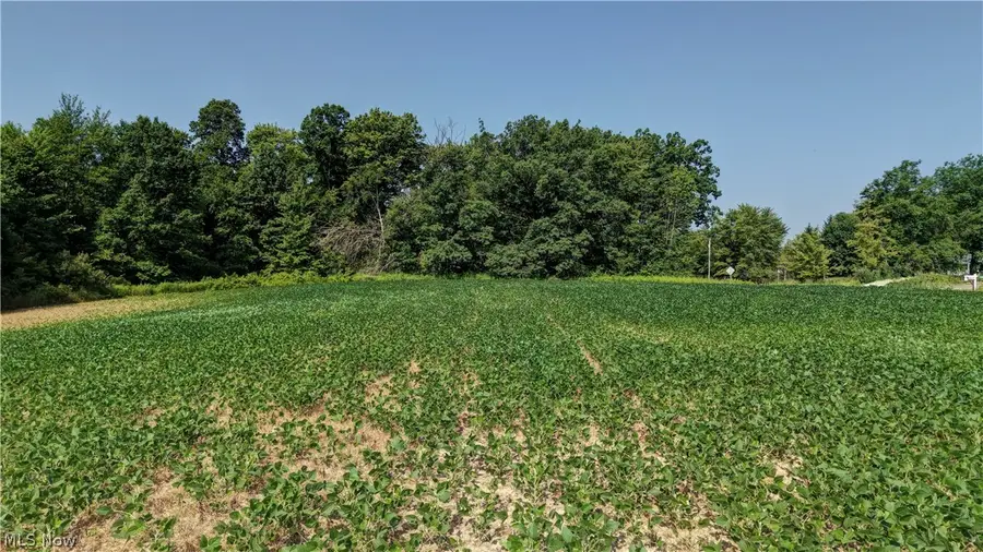 (Parcel 2) Norton Road, Garrettsville, OH 44231 - #3