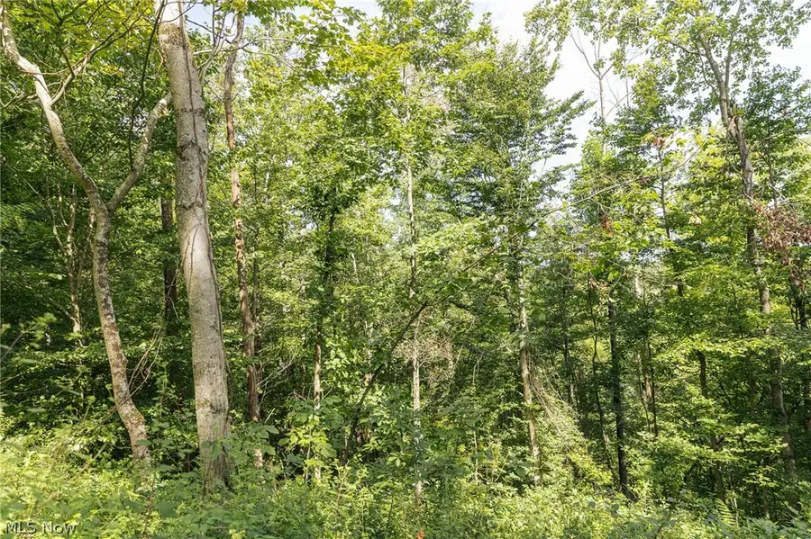 2145 Deans Fork Road #2, Whipple, OH 45788 - #3