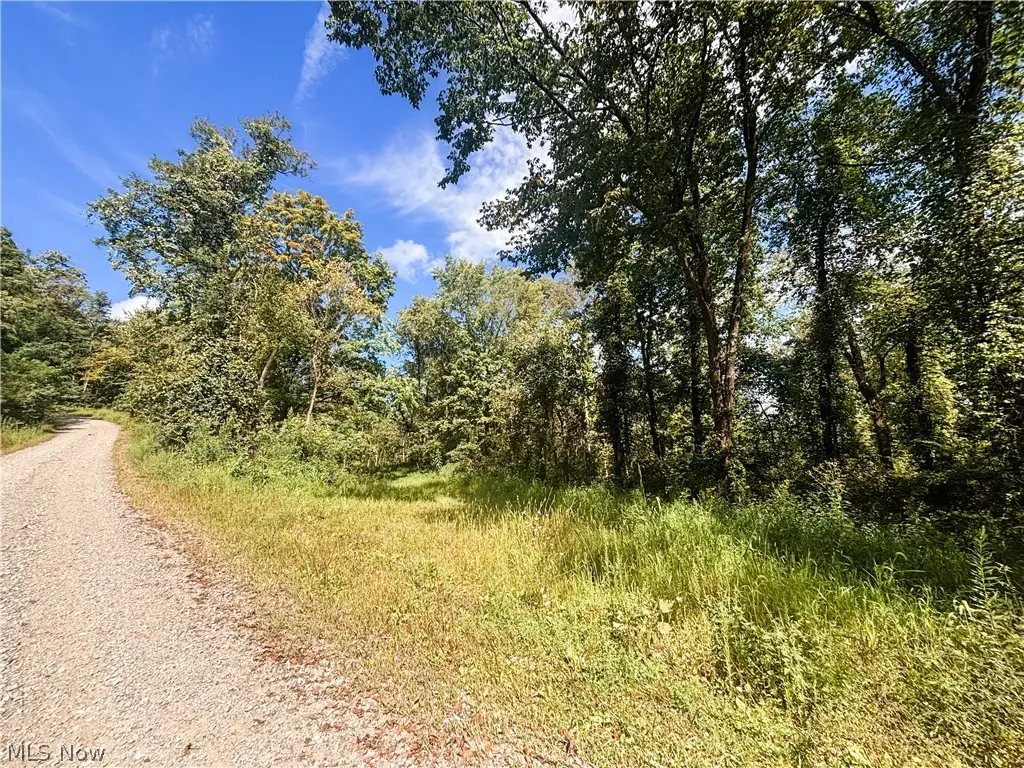 62515 Wine Road, Quaker City, OH 43773 - #1