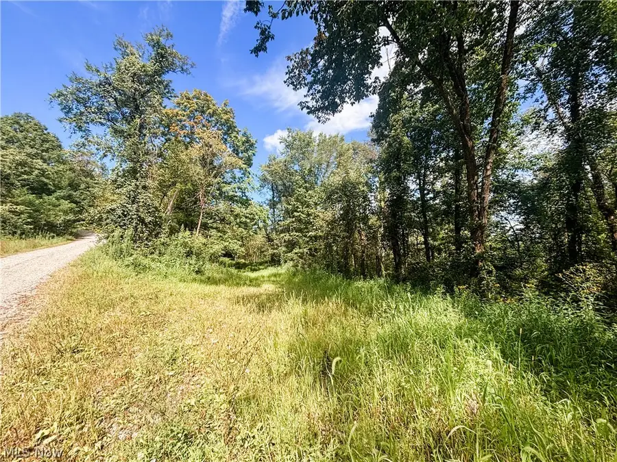 62515 Wine Road, Quaker City, OH 43773 - #3