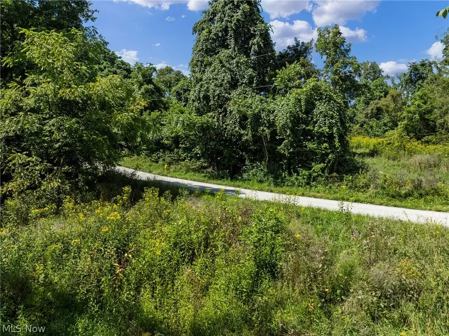 55541 Barnes Road, Martins Ferry, OH 43935 - #3
