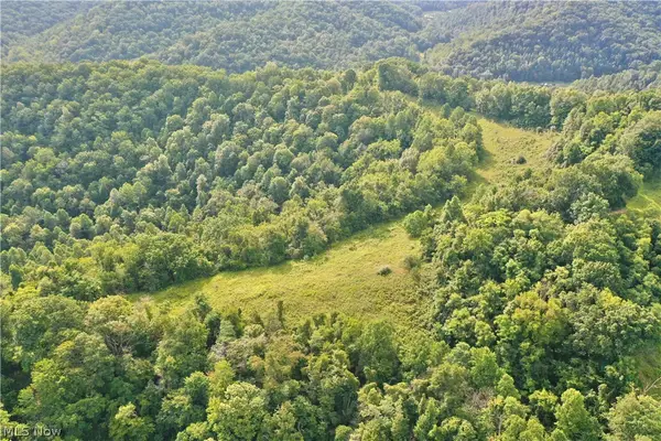 0002 Nicut Run Road, Duck, WV 26623