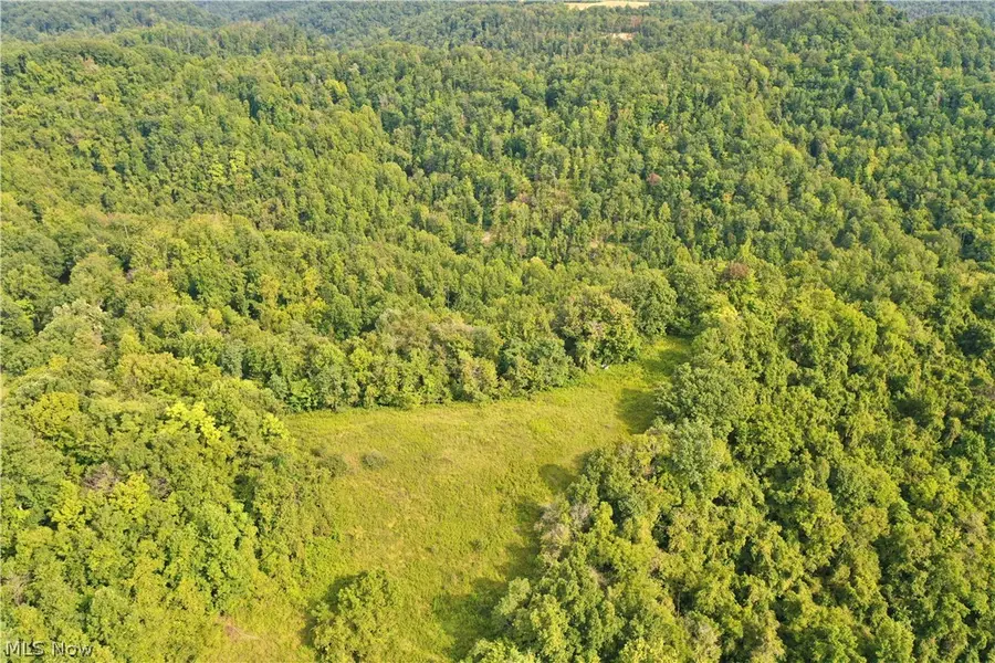 0002 Nicut Run Road, Chloe, WV 26623 - #2
