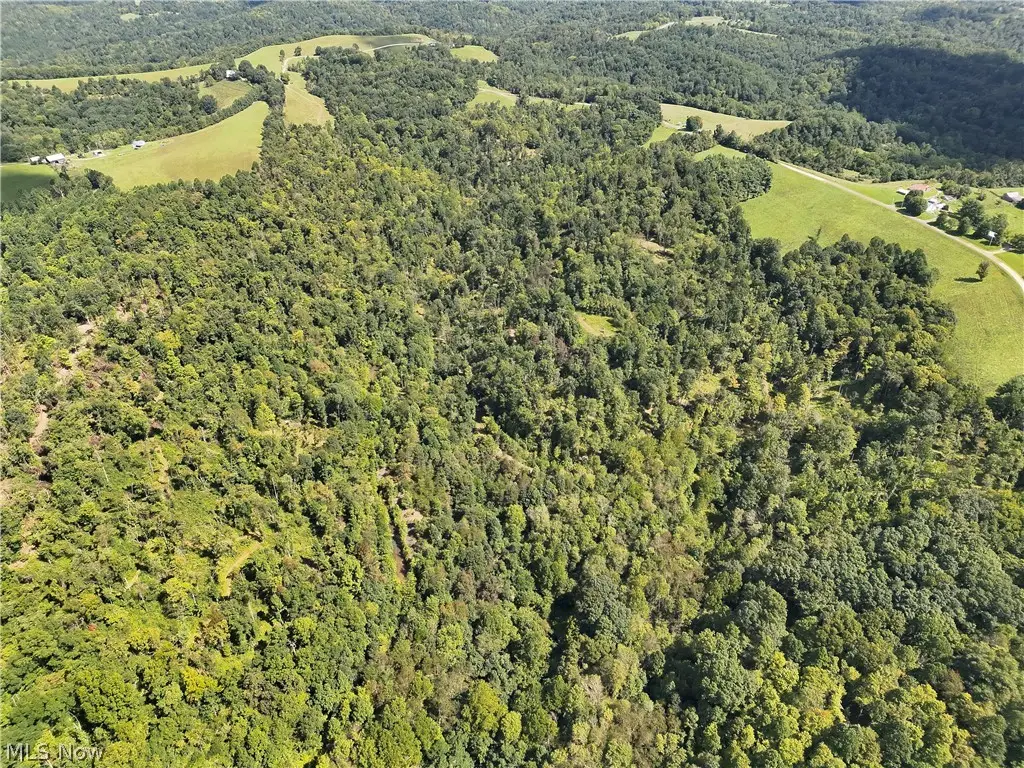 Crum Ridge Rd, Caldwell, OH 43724 - #1
