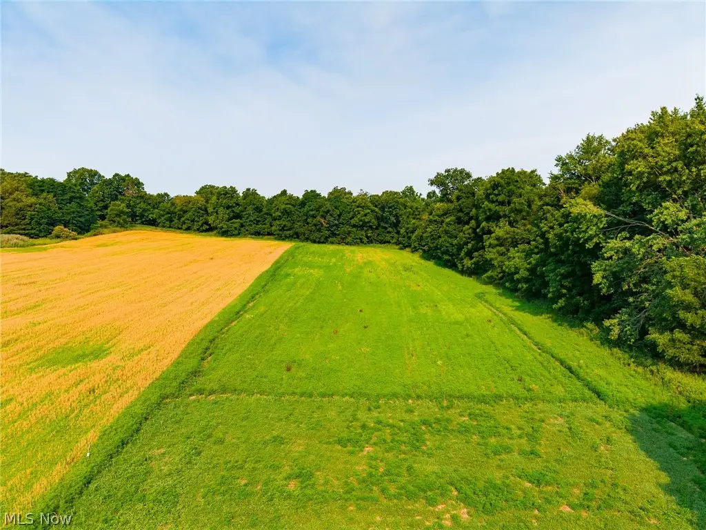 Stone Ave, Navarre, OH 44662 - #1