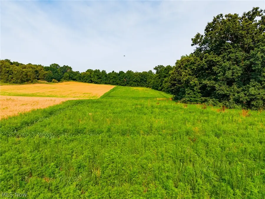 Stone Ave, Navarre, OH 44662 - #3