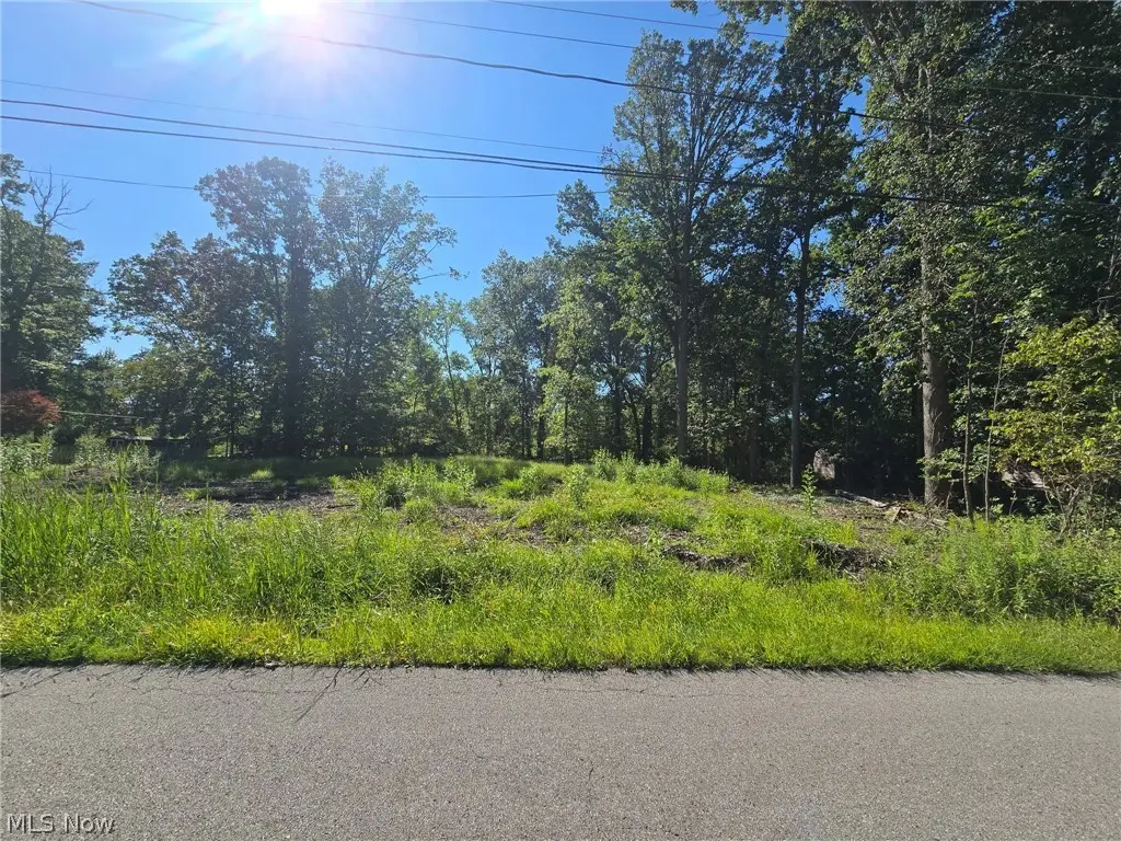 V/L Idlewood Avenue, Sheffield Lake, OH 44054 - #1