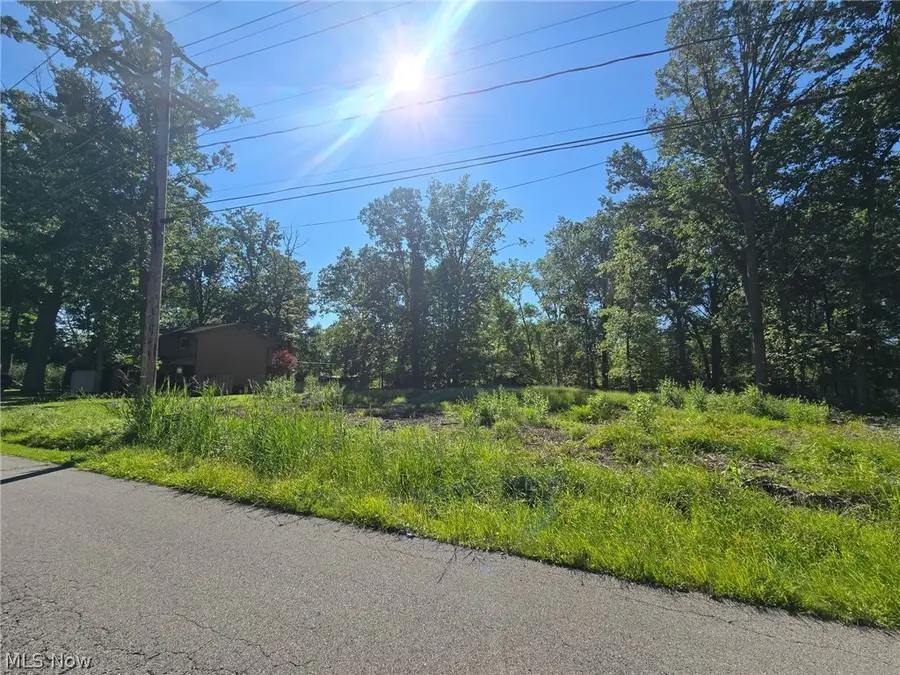 V/L Idlewood Avenue, Sheffield Lake, OH 44054 - #2