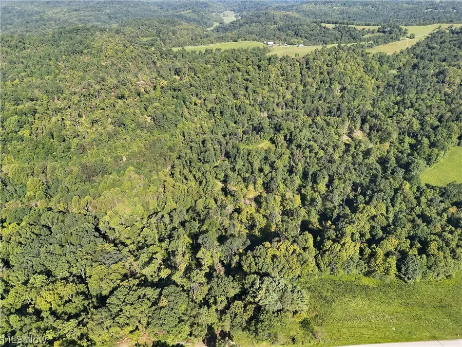 Crum Ridge Rd, Caldwell, OH 43724 - #3