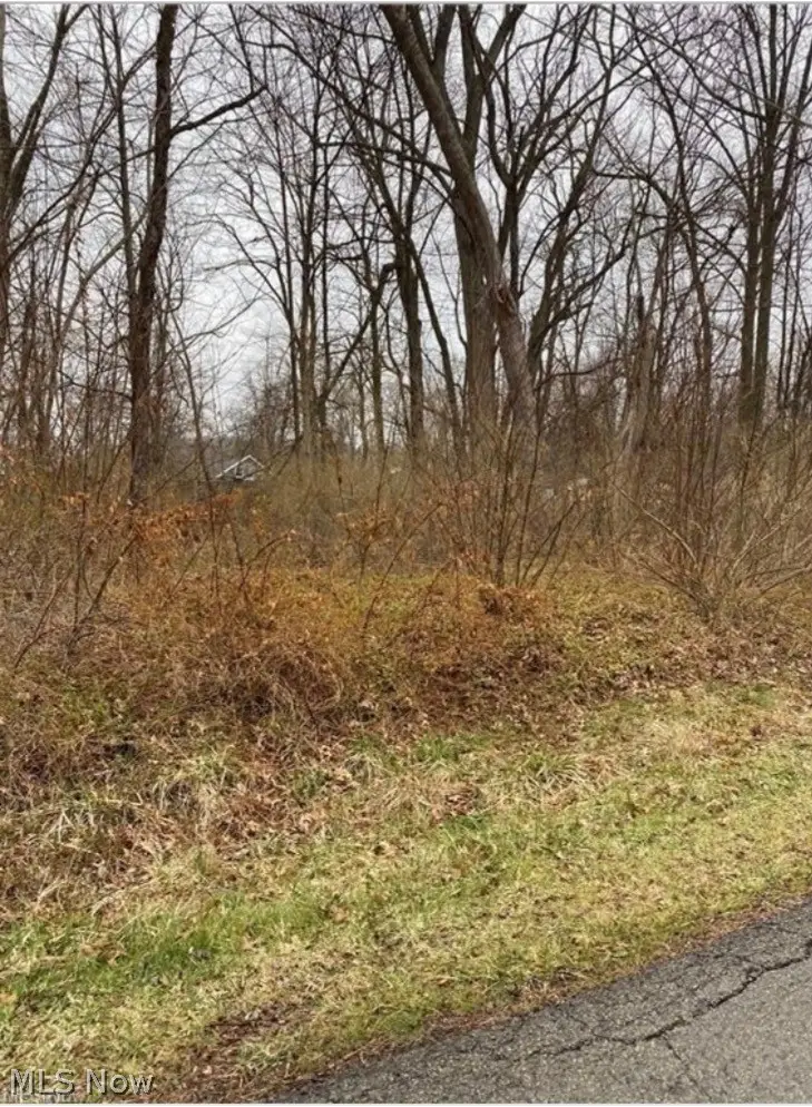 Overlook Way, Lake Milton, OH 44429 - #2