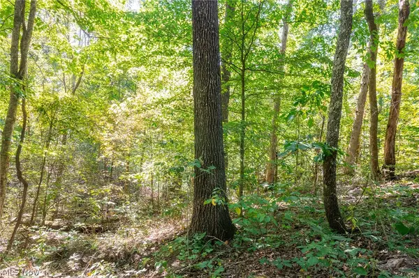 0 4 County Rd 269, Glouster, OH 43730