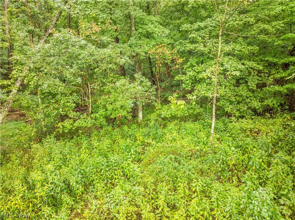 Sr 60, Dresden, OH 43821 - #1