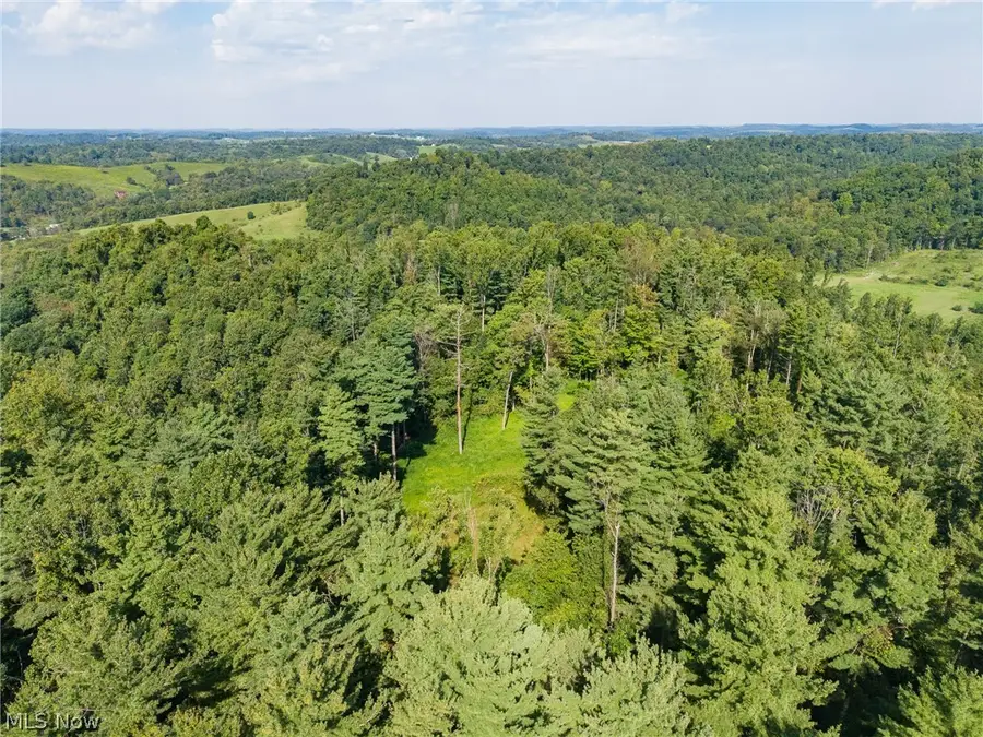 Pumpkin Ridge Road, Quaker City, OH 43773 - #2