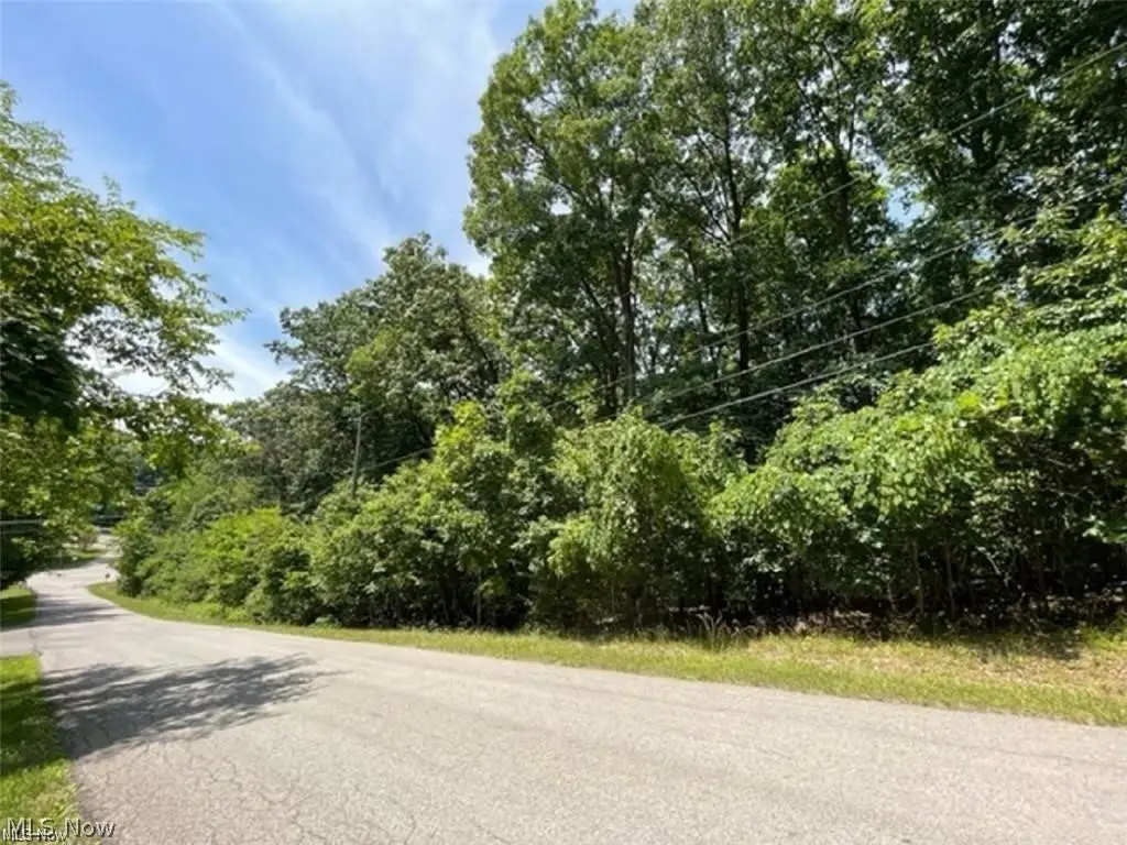47080 Tomahawk Drive, Negley, OH 44441 - #1