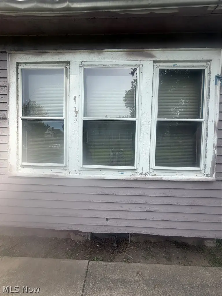 4103 E 113th Street, Cleveland, OH 44105 - #3