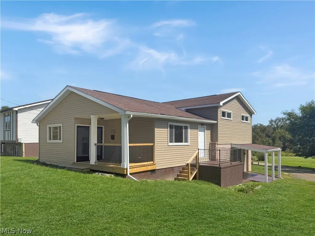 314 Petrick Avenue, Mingo Junction, OH 43938 - #1