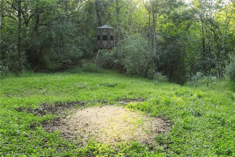 Groves Hill Rd, Caldwell, OH 43724 - #2