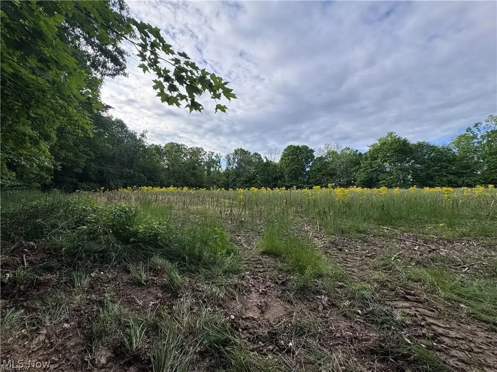 Walker Hill Road #10.530, Stockport, OH 43787 - #1