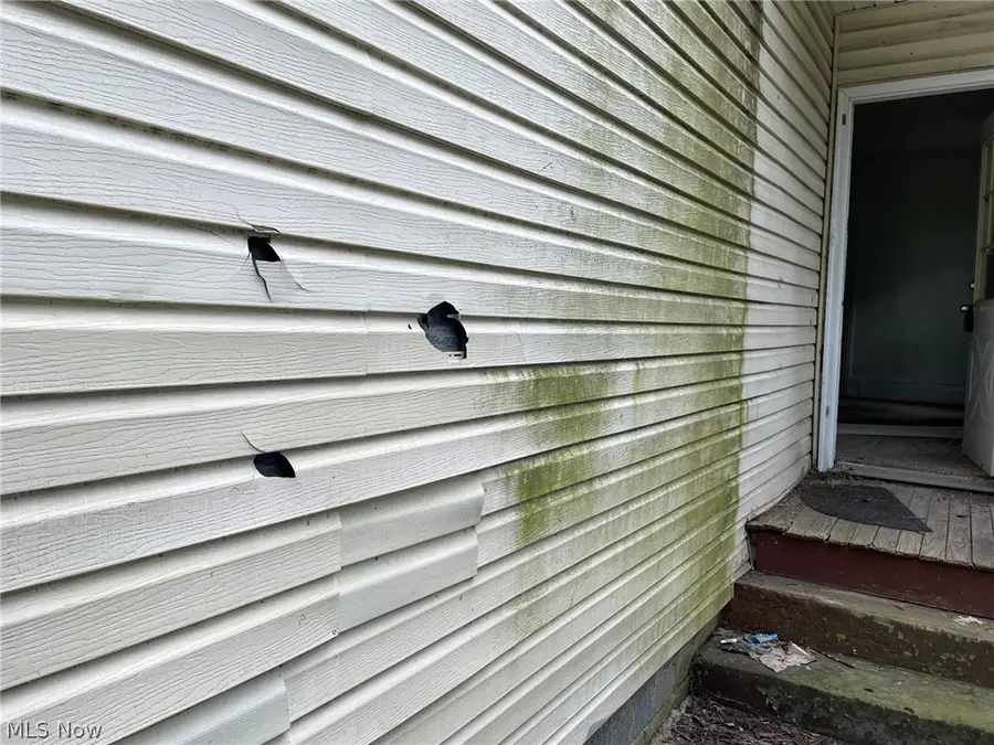 8018 Platt Avenue, Cleveland, OH 44104 - #2