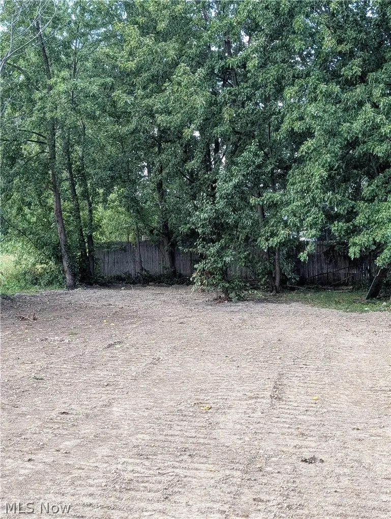 2154 W 98th Street, Cleveland, OH 44102 - #3