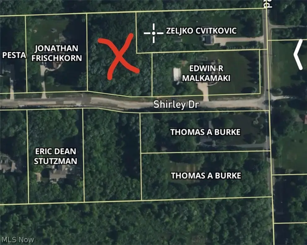 Shirley Drive, Painesville, OH 44077 - #1