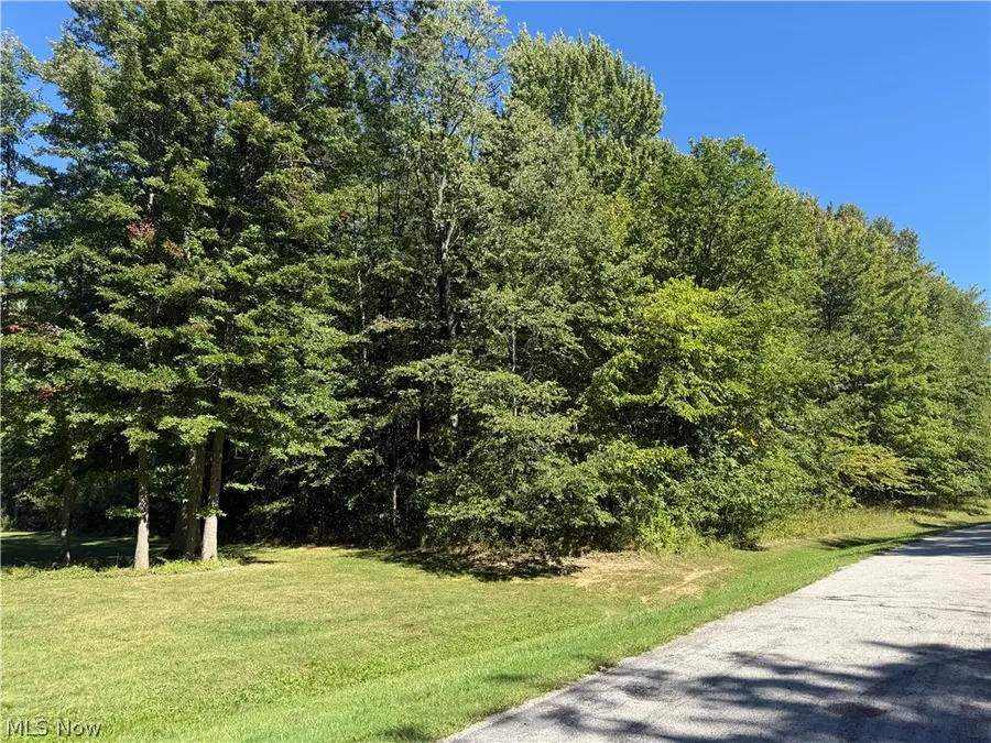Shirley Drive, Painesville, OH 44077 - #2