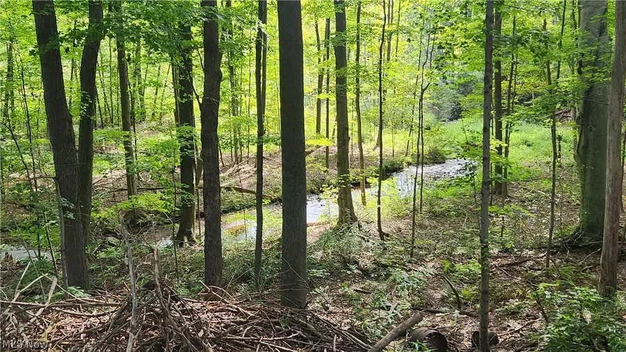 10770 Infirmary Road, Mantua, OH 44255 - #3