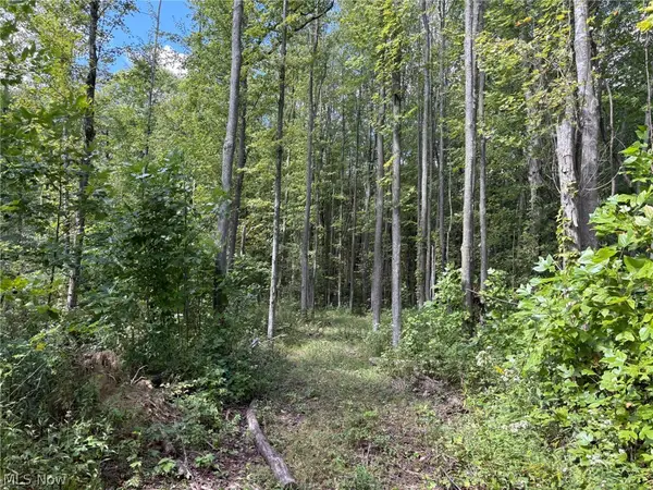 Center Road, Conneaut, OH 44030