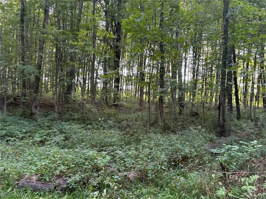 Center Road, Conneaut, OH 44030 - #2