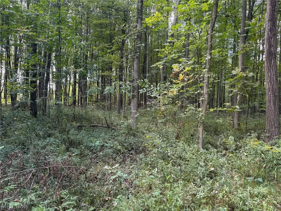 Center Road, Conneaut, OH 44030 - #3