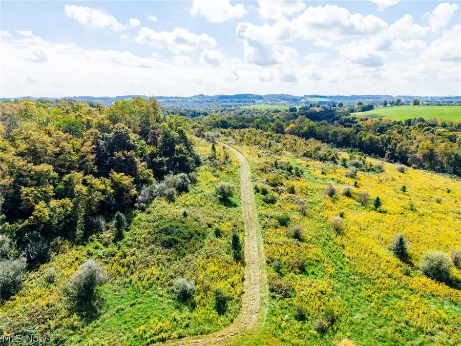 163 County Road 3 #3, Rayland, OH 43943 - #3