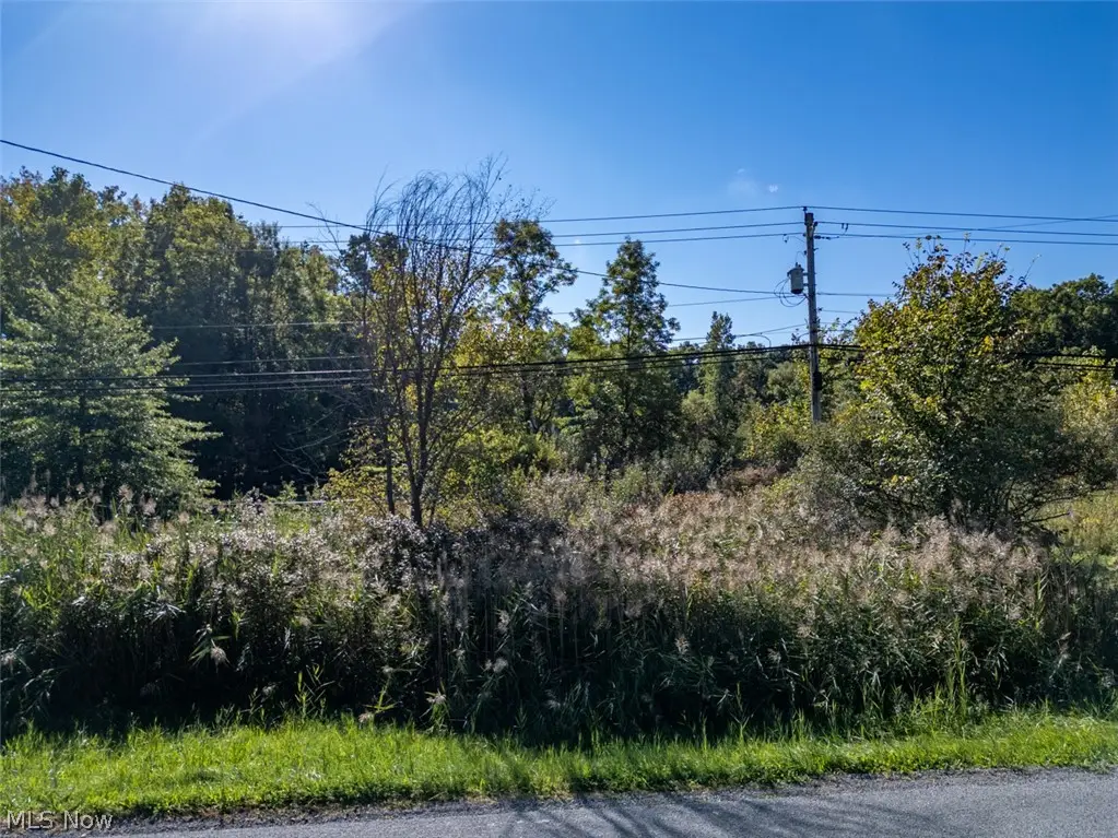 Newton Falls Road, Ravenna, OH 44266 - #1