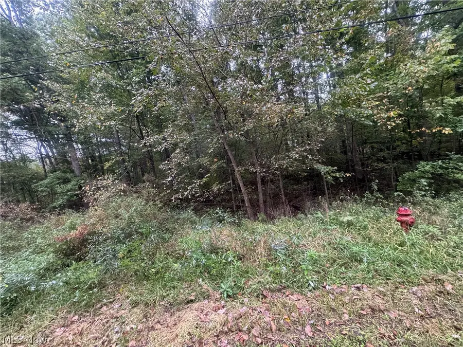 48250 Dyke Road, Negley, OH 44441 - #2